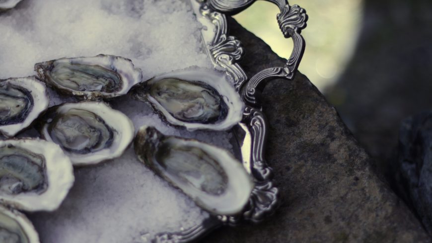 Oysters - © Elisabetta Artemisia Ferrari