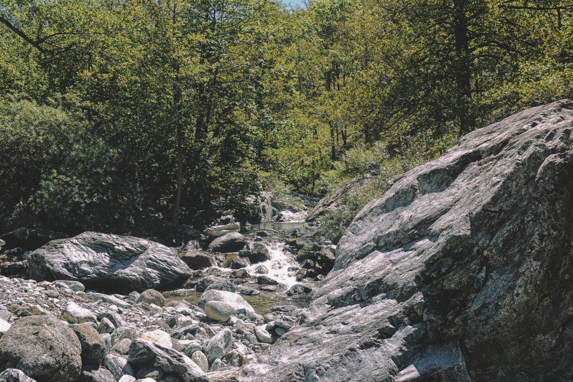 Myle Area, the creek